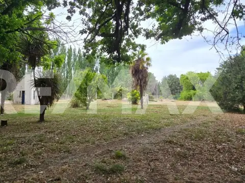 CHACRA 3,1 HECTÁREAS CON 2 CASAS, 2 GALPONES  