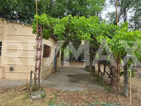 CHACRA 3,1 HECTÁREAS CON 2 CASAS, 2 GALPONES