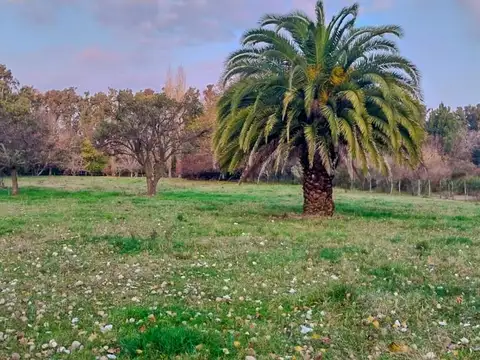 VENTA CHACRA CON CASA DE CAMPO GALPÓN Y COCHERA