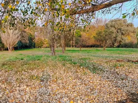 VENTA CHACRA CON CASA DE CAMPO GALPÓN Y COCHERA