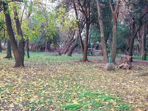 Campo en Venta de 2,84  ha