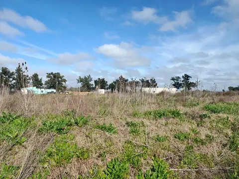 Terreno en Barrio Los Olivos en Venta