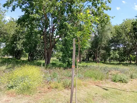 Nuevo Malagueño 100