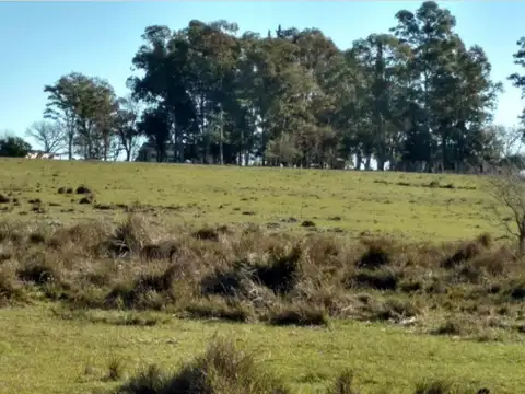 Terreno Campo  en Venta ubicado en Río Negro, Río Negro - TRA0014_LP308140_1