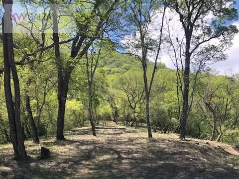 Terreno en Venta de 752,0 m2