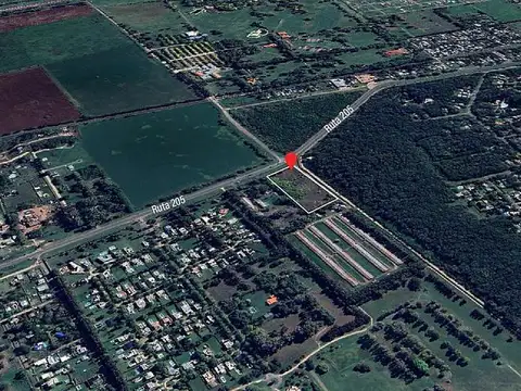 Excelente fracción de terreno de 15.200m2 sobre Ruta 205 - Cañuelas