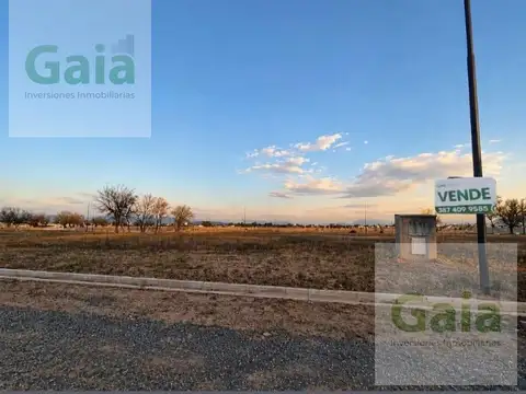 TERRENO EN VENTA EN VIA AURELIA