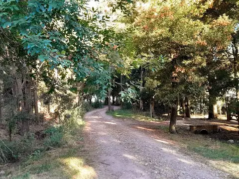 VENTA-LOTE 800M2-FINANCIACION-CHASCOMÚS