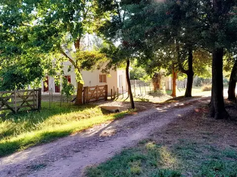 Terreno en Venta de 600,0 m2