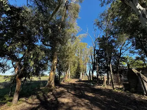 VENTA CAMPO MARCOS PAZ 82HA
