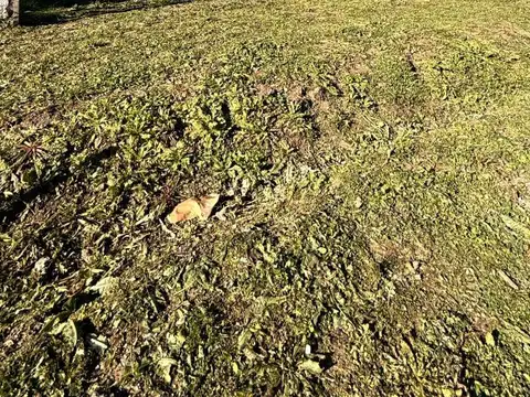 OPORTUNIDAD VENTA LOTE CAÑUELAS ESCUCHA OFERTA