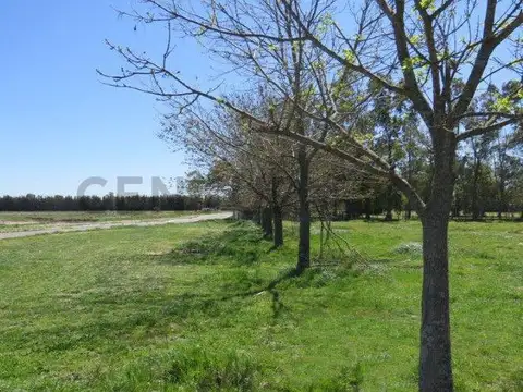 LOTE EN VENTA DE   1000 MTS EN BARRIO SANTA INES - CANNING