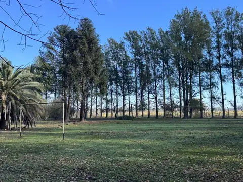 RUTA 41 Y RUTA 5, MERCEDES, PROV DE BUENOS AIRES