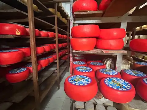 Venta de llave Distribuidora de quesos en Malvin
