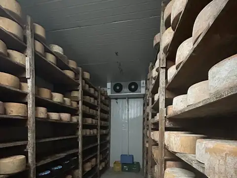 Venta de llave Distribuidora de quesos en Malvin