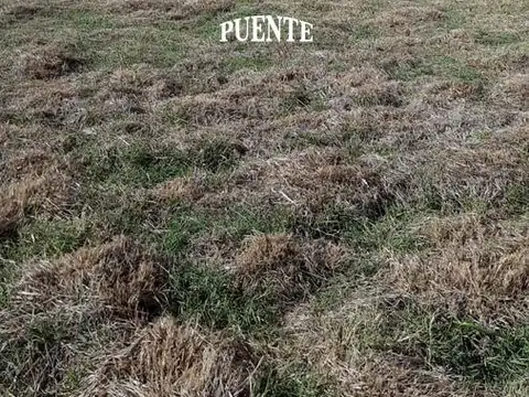 Terreno en Venta de 340,0 m2