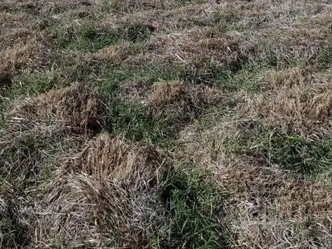 Terreno en Venta de 340,0 m2