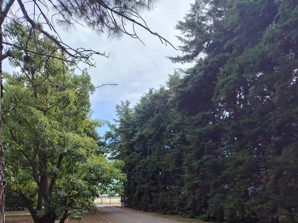 Venta complejo Turístico en Baradero - Foto 36