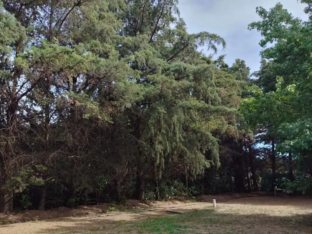 Venta complejo Turístico en Baradero - Foto 17