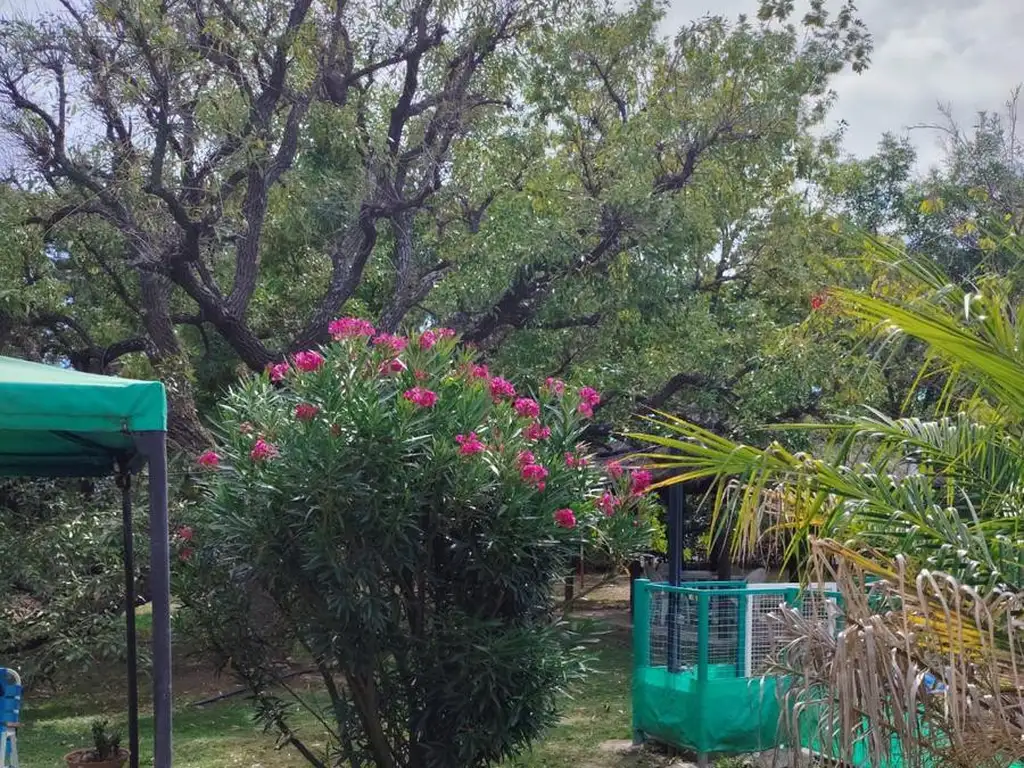 Venta complejo Turístico en Baradero - Foto 21