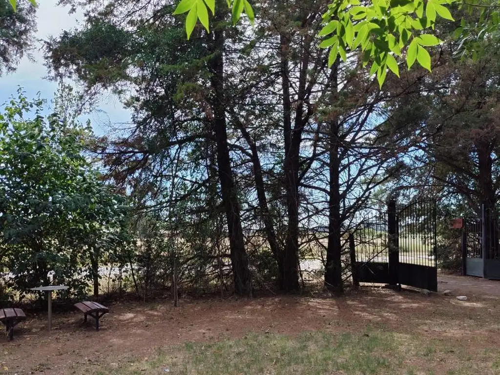 Venta complejo Turístico en Baradero - Foto 15