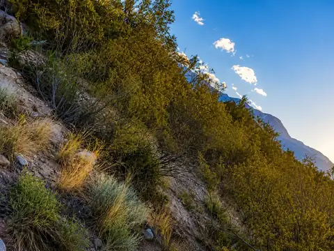 Venta de Terreno en el Pedemonte Lujan de Cuyo
