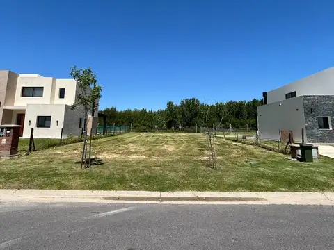 Terreno en Venta en Santa Ana, USD 115.000