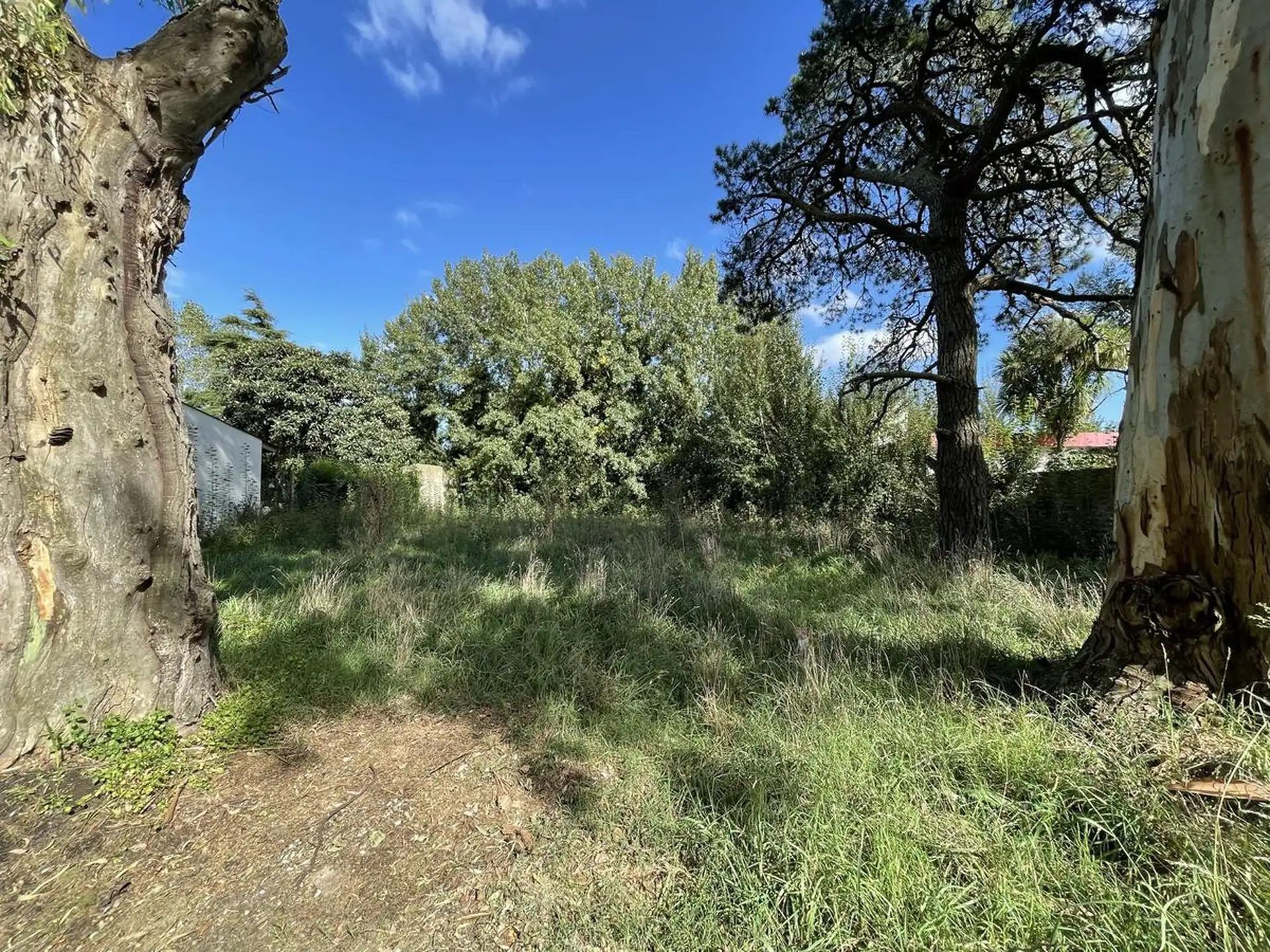 Lote en el barrio jardín La Florida
