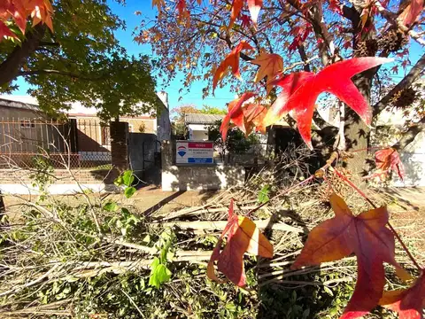 Doctor de la Quintana 100