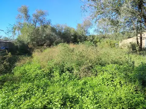 Terreno en Venta en Anguil, Capital