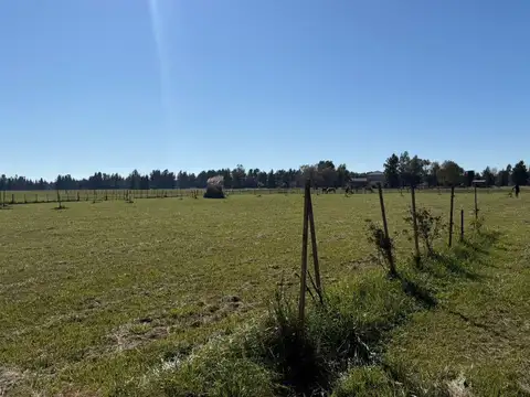 Terreno en Venta de 7204,0 m2