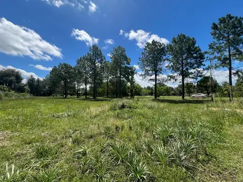 Terreno en Solares del Carcaraña - Vista Parcial al Rio
