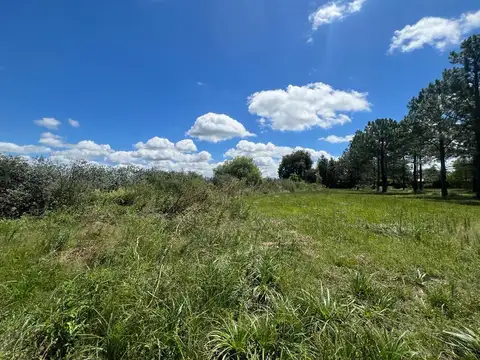 Terreno en Venta de 877,0 m2