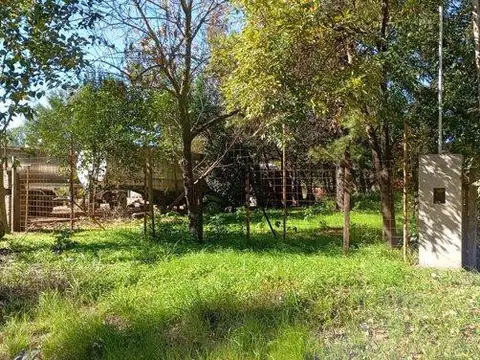 Echeverria 2