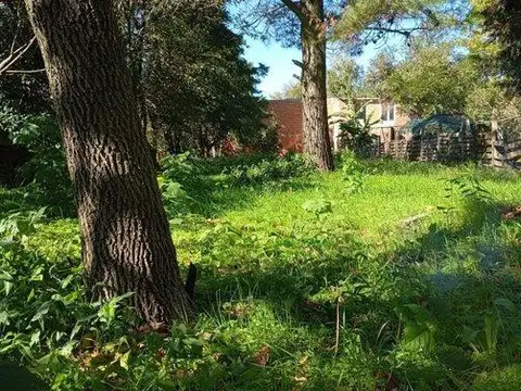 Echeverria 2