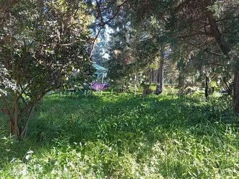 Terreno en Venta 52  mts Fondo
