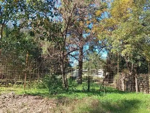 Terreno en Venta 12  mts Frente