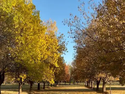 Terreno lujan de cuyo
