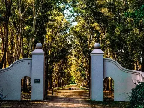 Venta lote en Chacras de San Andres 