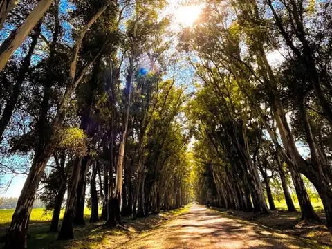 Terreno en Venta de 3266,0 m2