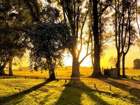 Terreno en Venta en Chacras De San Andres, USD 50.000