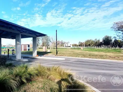 Oportunidad! Lote en San Juan Chico - Posesión inmediata