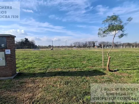 Terreno en Village Plaza Bella Vista