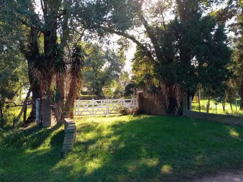 Av de los incas
