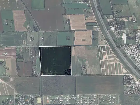 Campo en Ibarlucea