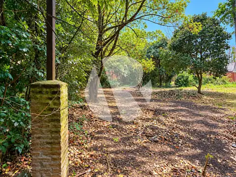 Terreno en Venta 22  mts Fondo