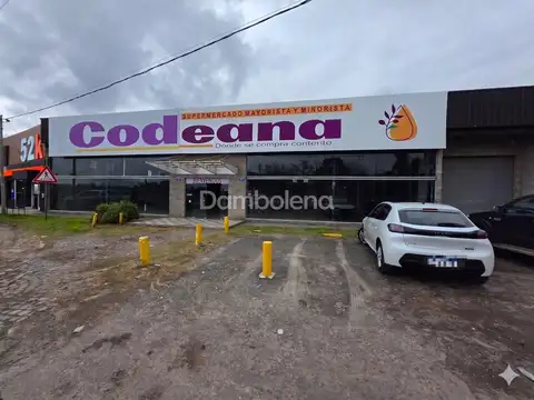 Colectora Norte Acceso Oeste 100