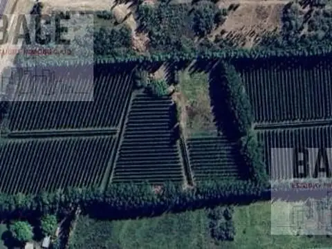 Terreno en Venta 160  mts Frente