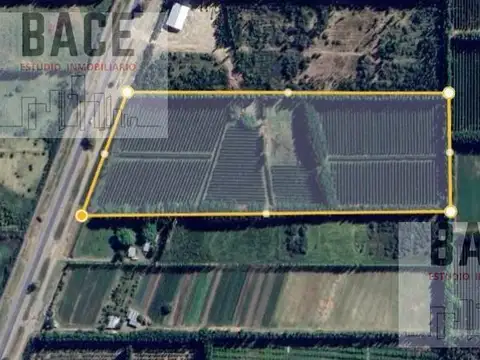 Terreno en Venta en General Roca, USD 270.000