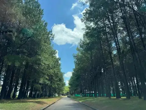 Pinares Country Club